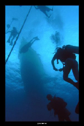 Divers ascending from the Halliburton wreck in Utila by Susan Beerman 